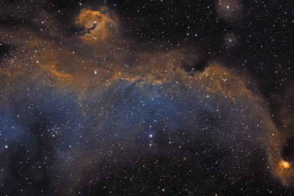 The Seagull Nebula IC2177.